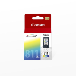 CANON ตลับหมึกอิงค์เจ็ท รุ่น PG-810 สี