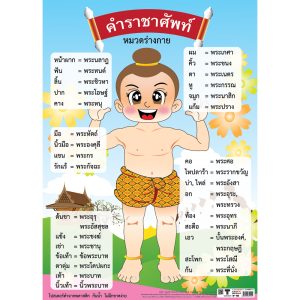 โปสเตอร์ความรู้ คำราชาศัพท์หมวดร่างกาย
